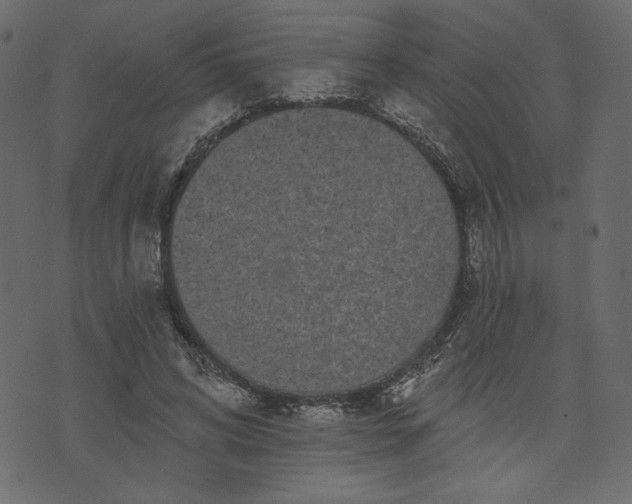 X0000073740592200608171308