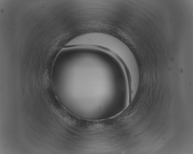 X0000073740594200608171308