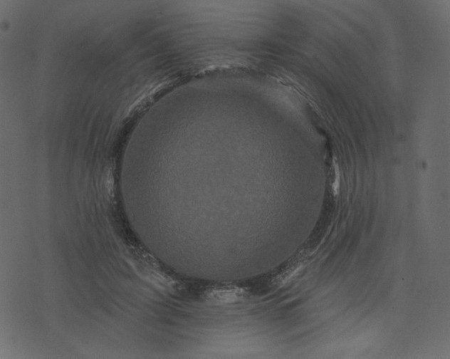 X0000073740595200608171308