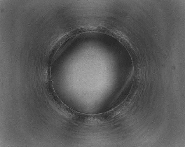 X0000073740596200608171308