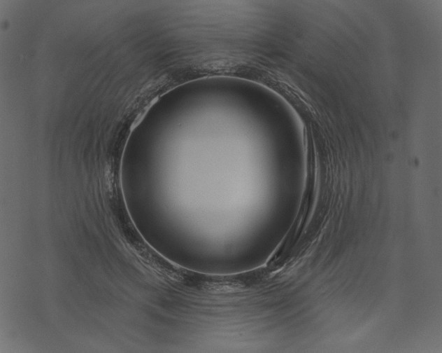 X0000073740597200608171308