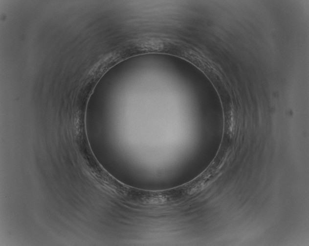 X0000073740600200608171308