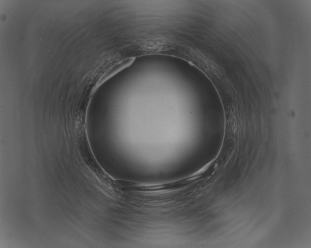 X0000073740601200608171308