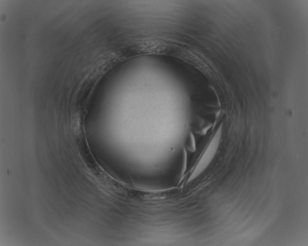 X0000073740602200608171308