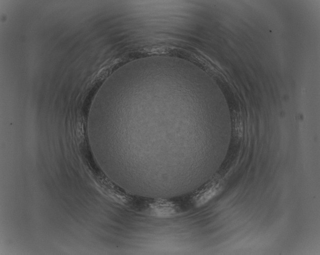 X0000073740603200608171308