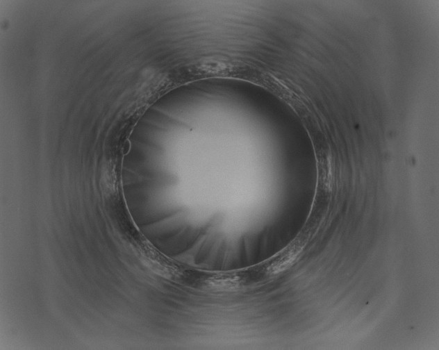 X0000073740606200608171308