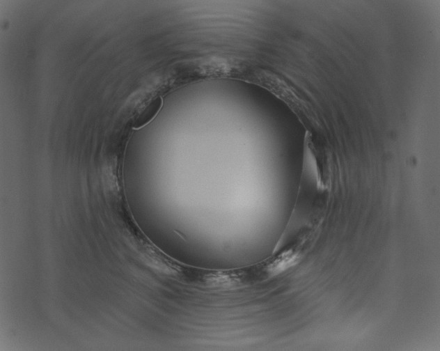 X0000073740616200608171308