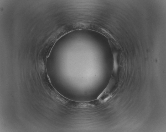 X0000073740617200608171308