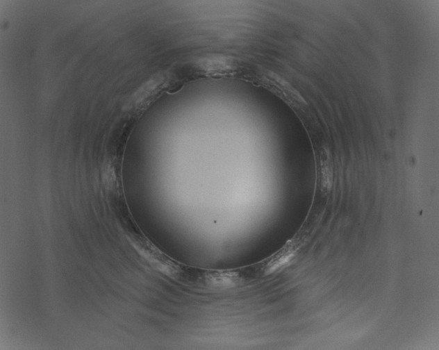 X0000073740618200608171308