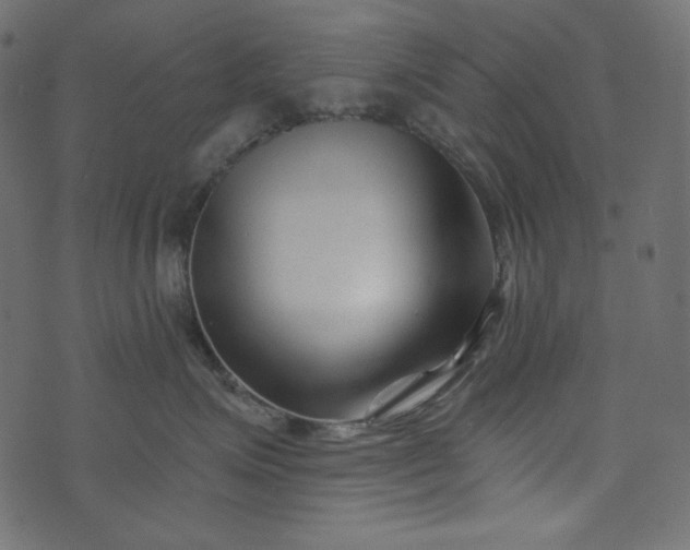 X0000073740623200608171307