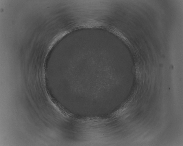 X0000073740626200608171307
