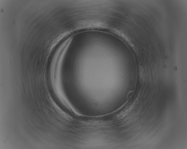 X0000073740629200608171307