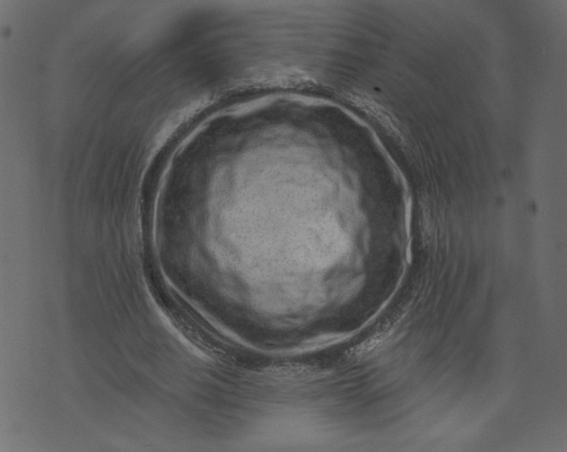 X0000073740630200608171307