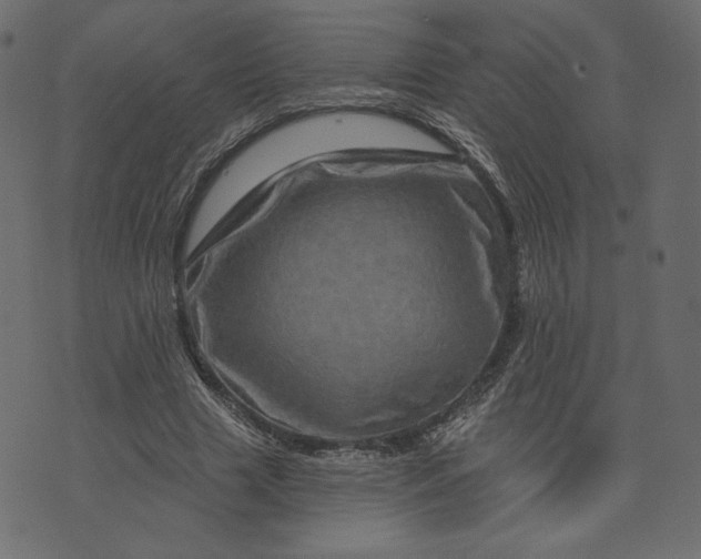X0000073740633200608171307