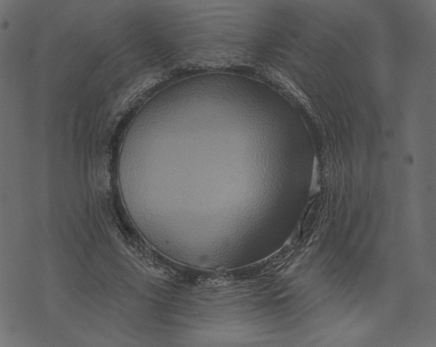 X0000073740635200608171307