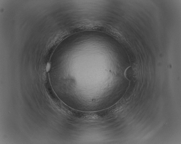 X0000073740642200608171307