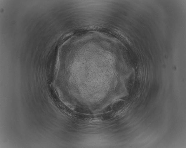 X0000073740643200608171307