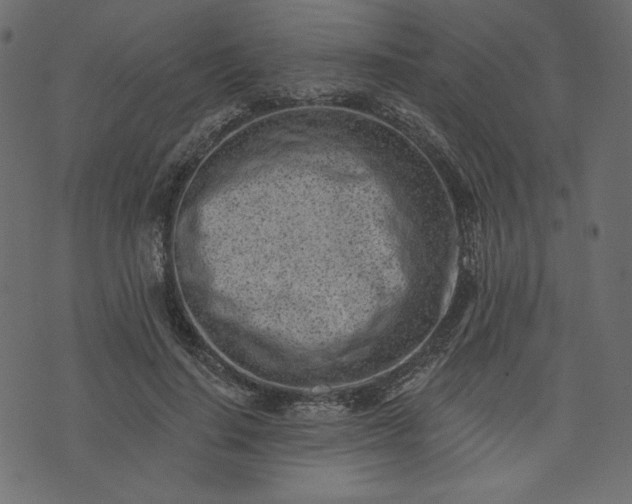 X0000073740644200608171307