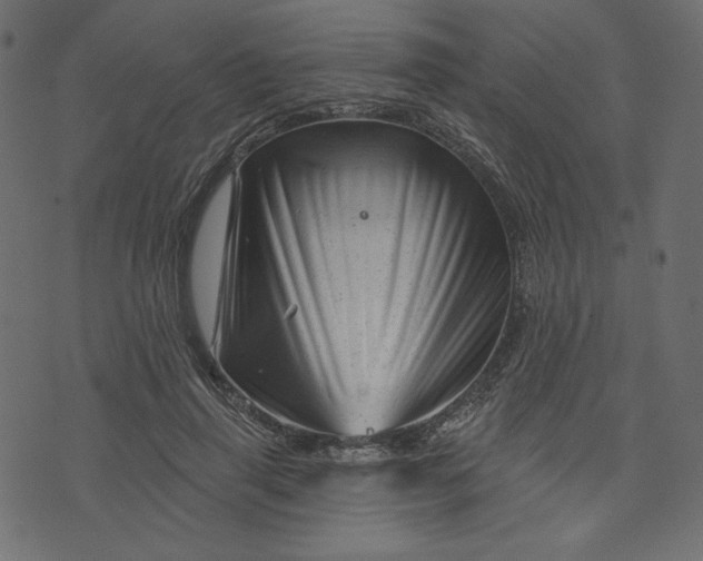 X0000073740645200608171307