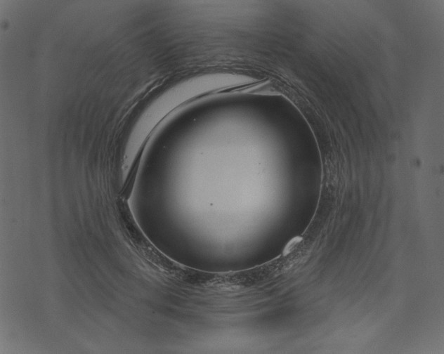 X0000073740648200608171307
