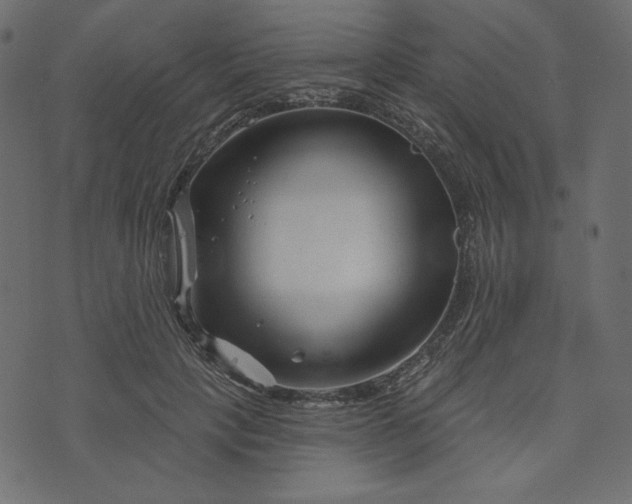 X0000073740649200608171307