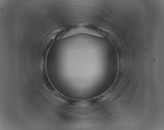 X0000073740652200608171307