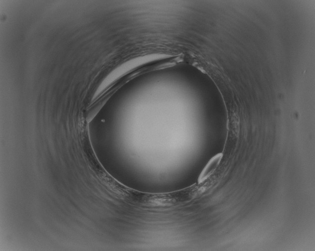 X0000073740657200608171307