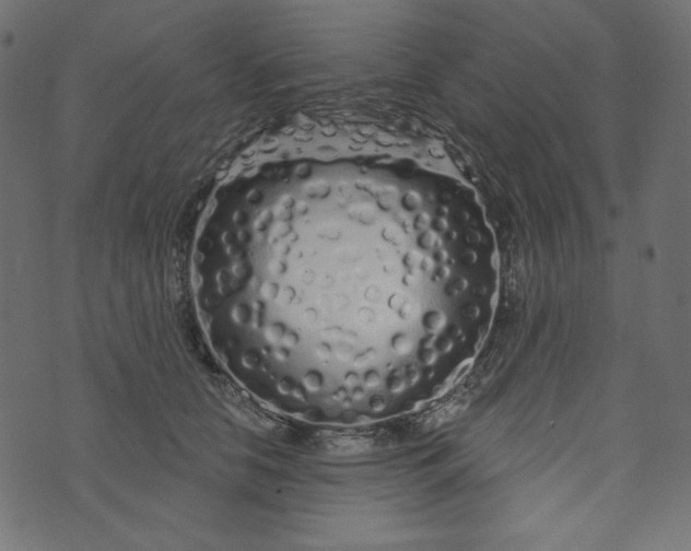 X0000073740658200608171307