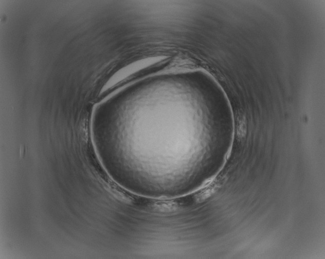X0000073740666200608171307