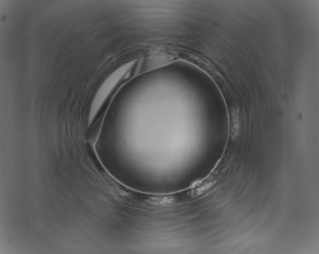 X0000073740667200608171307