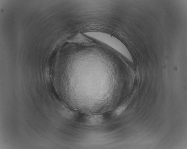 X0000073740670200608171307