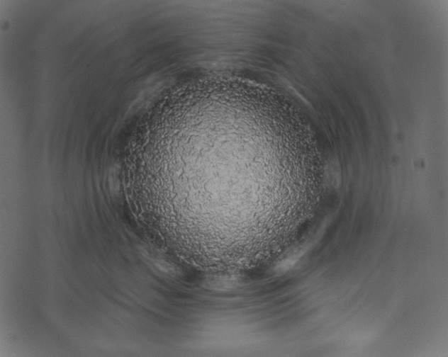 X0000073740671200608171307