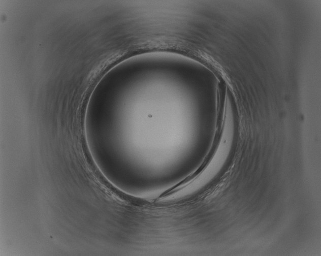 X0000073740673200608171307