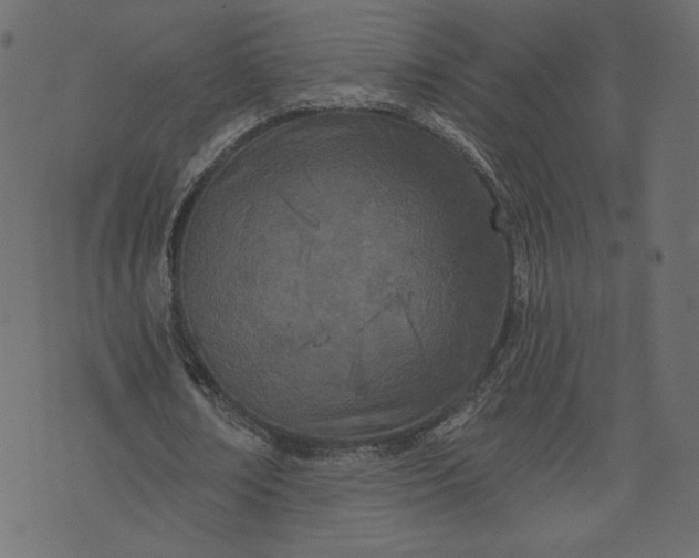 X0000073740674200608171307