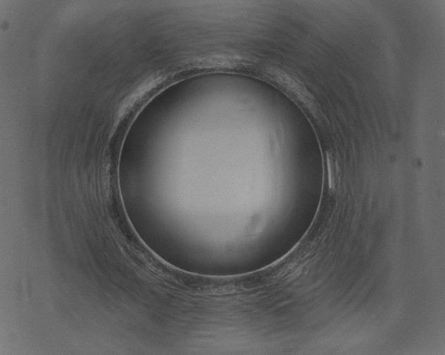 X0000073740675200608171307