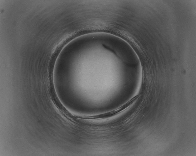 X0000073740677200608171307