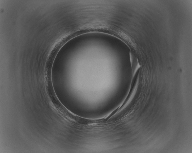 X0000073740680200608171307