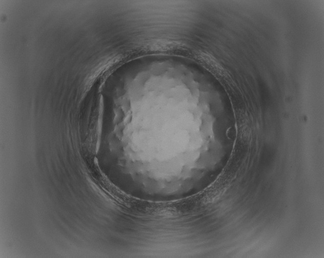 X0000073740683200608171306