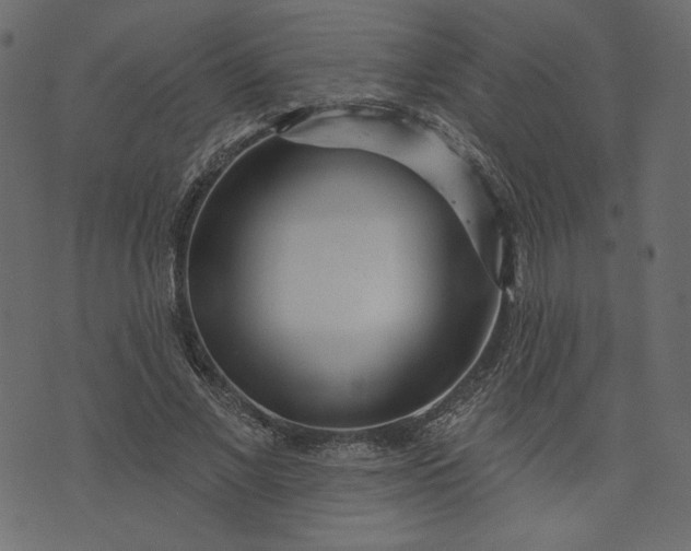 X0000073740685200608171306