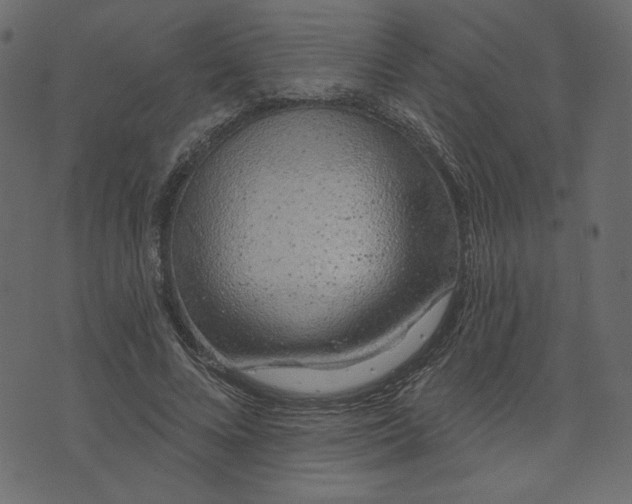 X0000073740688200608171306