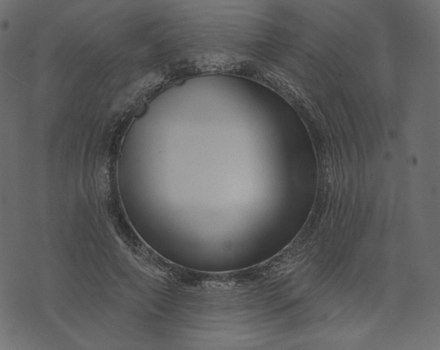 X0000073740690200608171306