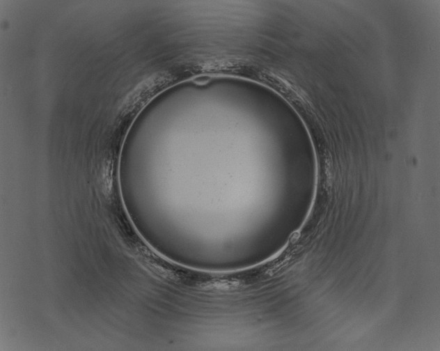 X0000073740691200608171306