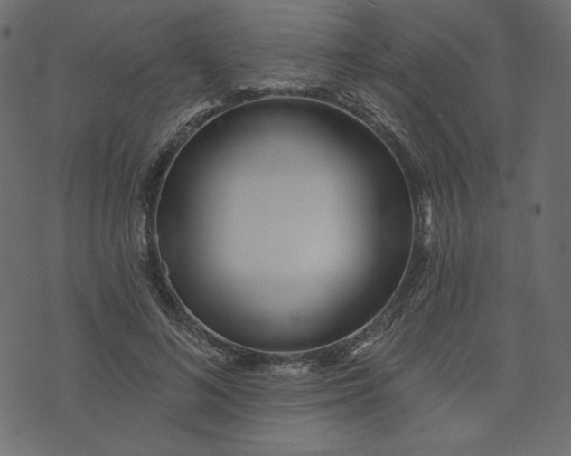 X0000073740692200608171306