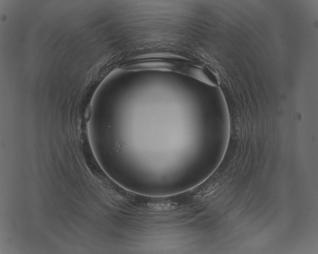 X0000073740693200608171306