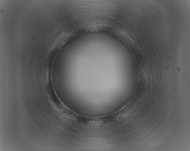 X0000073740694200608171306