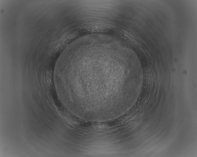 X0000073740695200608171306