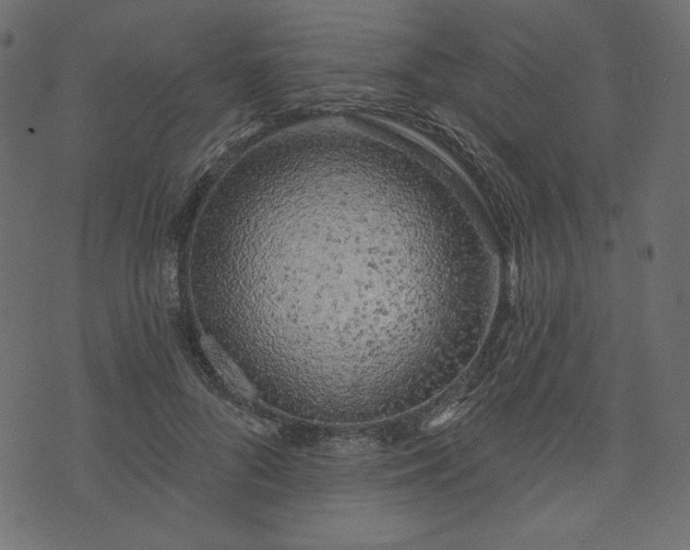 X0000073740696200608171306