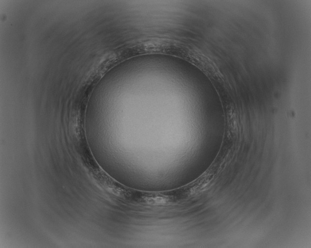 X0000073740698200608171306