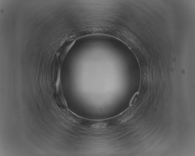 X0000073740700200608171306