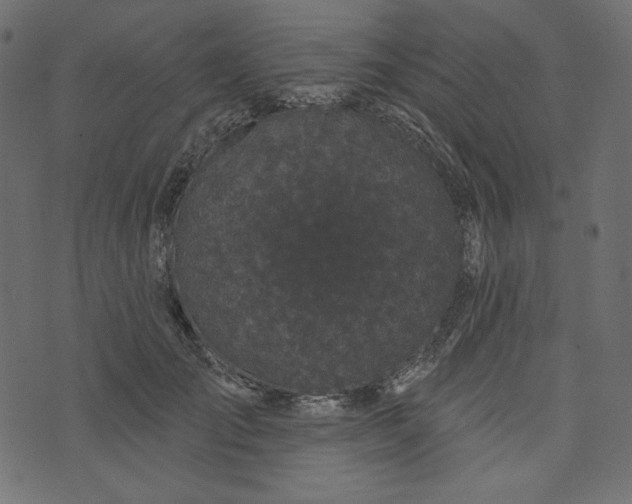 X0000073740701200608171306